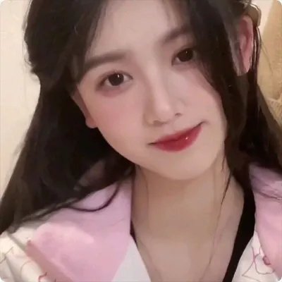 谍网纵横